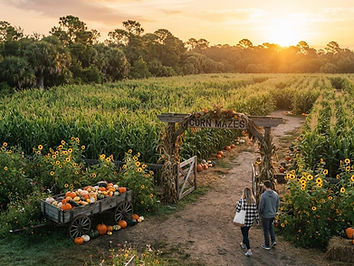 Farmer Mike's U-Pick Fall Festival