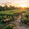 West Miami Family Fun Day at the Farm