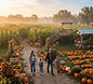 Sweet Season Farms Pumpkin Patch