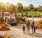 The Platt's Patch Family Fall Festival
