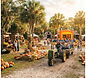 Southern Fresh Farms Fall Festival