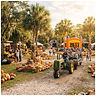 Micanopy Bluegrass & Barbecue Festival