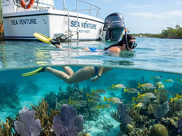 Looe Key Reef Snorkel