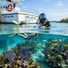 Looe Key Reef Snorkel