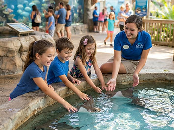 Aquarium After Hours: Family Night