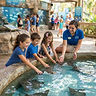 Hialeah Gardens Downtown Food & Wine Walk