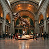 Dinosaur Halls After Dark