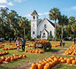 Ocala Pumpkin Patch