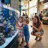 Family Science Day: Sharks & Space
