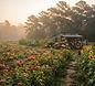 Moccasin Grove Pumpkin Patch