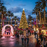 Florida Christmas Festival
