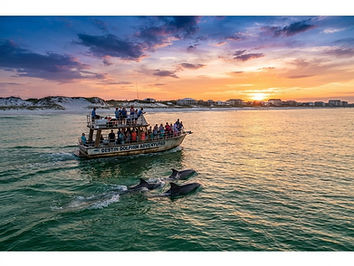 Destin Sunset Dolphin Cruise