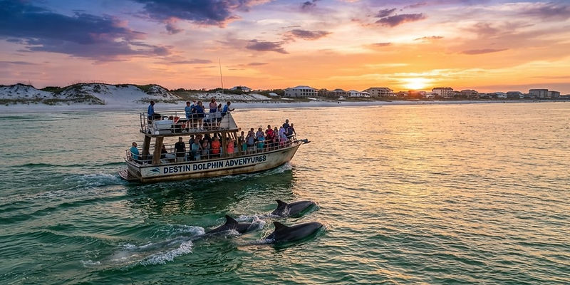 Destin Sunset Dolphin Cruise