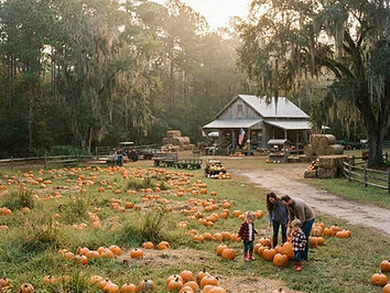 Conner's A-Maize-Ing Acres Pumpkin Patch