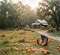 Conner's A-Maize-Ing Acres Pumpkin Patch