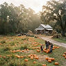 Conner's A-Maize-Ing Acres Pumpkin Patch