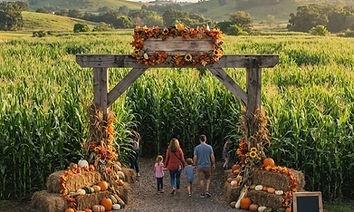 Long & Scott Farms Fall Festival