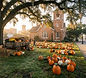 Pumpkin Patch at First UMC Lakeland