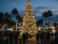 Tree lighting