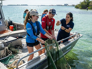 Teen Marine Biology Field Course