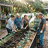 Fall Vegetable Garden Workshop