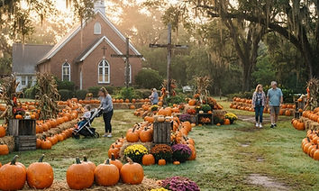 St Andrew UMC Pumpkin Patch