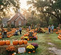 St Andrew UMC Pumpkin Patch