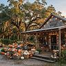 Congaree and Penn Pumpkin Patch