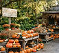 Bedner's Farm Fresh Market Pumpkin Patch