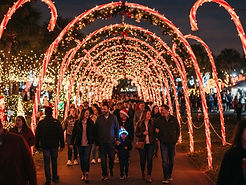 Light display