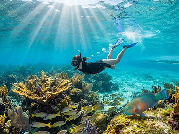 Key Largo Reef Snorkel
