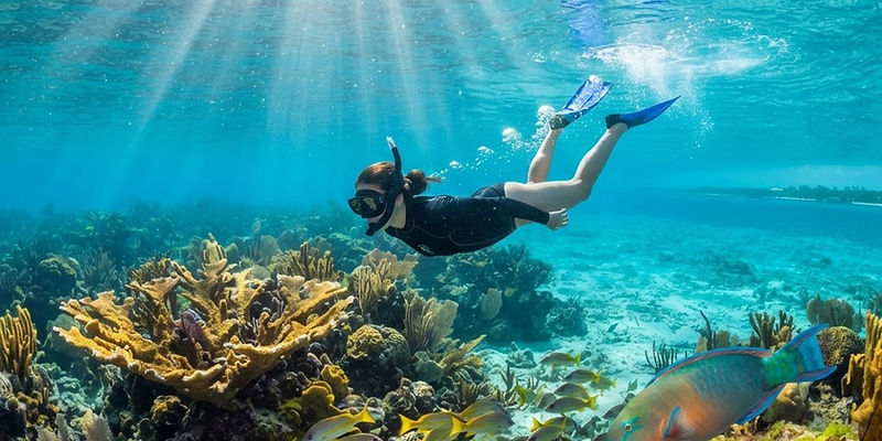 Key Largo Reef Snorkel