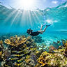 Key Largo Reef Snorkel