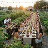 Farm-to-Table Harvest Dinner
