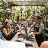 Orchid Care Clinic