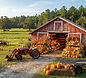 Holland Farms Pumpkin Patch