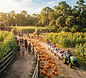 County Line Family Farms Fall Festival