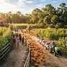 County Line Family Farms Fall Festival