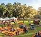 Hunsader Farms Pumpkin Festival