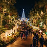 Zoo Lights Miami