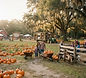 Cannon Farms Fall Festival