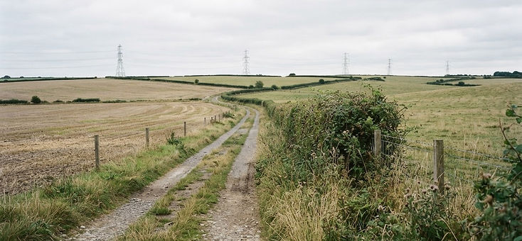 Rural field boundary with hedgerow and transmission towers on the horizon
