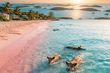 Bahamas