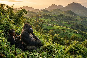 Rwanda