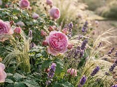 Planting Services