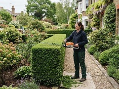 Hedge Trimming & Pruning