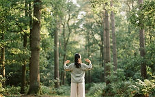 Die fünf Immunsysteme im Zhineng Qigong: Gesundheit aus einer anderen Perspektive