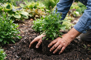 Gardening Services