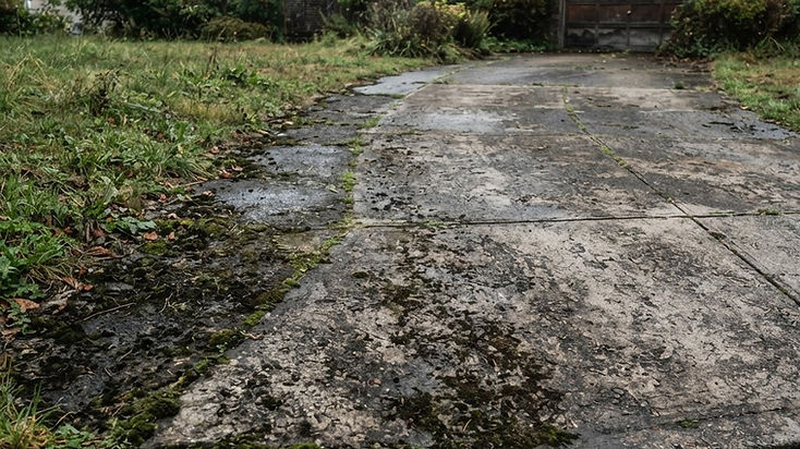 Dirty moss-covered stained driveway before cleaning