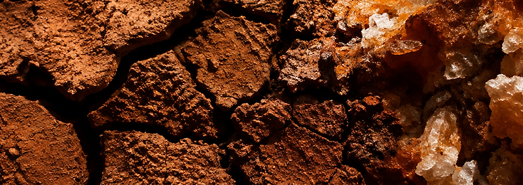 Macro cracked earth texture